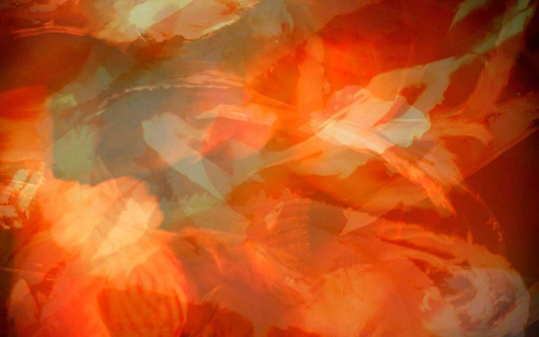 copyright-molly-wagoner-Fire