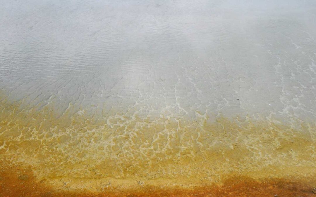 copyright-molly-wagoner-boiling-earth-2
