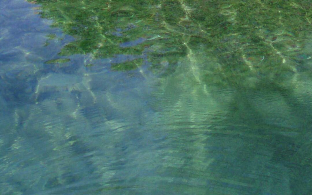 copyright-molly-wagoner-carribean-sea2