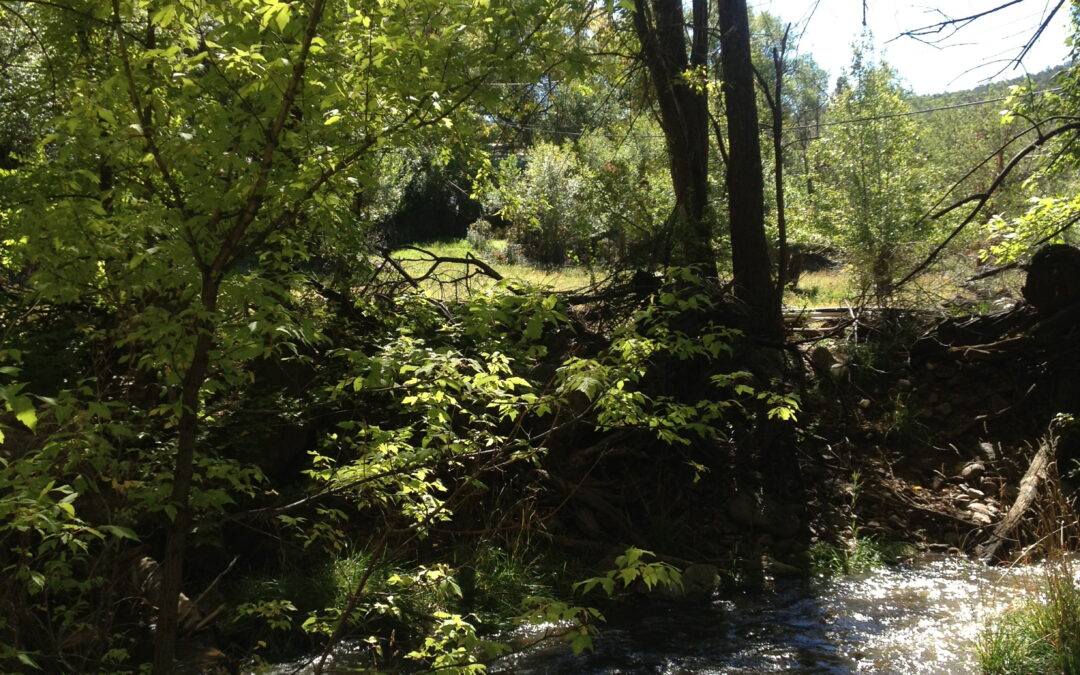 Santa Fe River