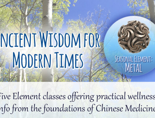 Fall – Metal Classes