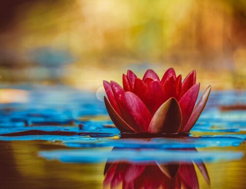 Water thrives in a time of sequester… we are all invited to listen deeply.